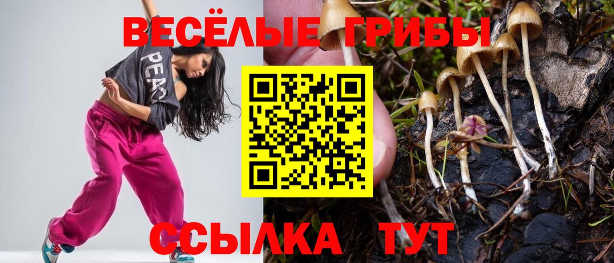 Псилоцибиновые грибы Psilocybine cubensis  Вход с VPN  Ангарск 