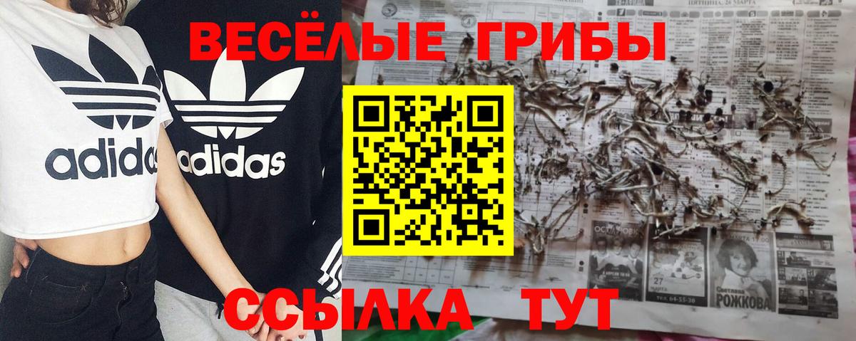 Псилоцибиновые грибы MAGIC MUSHROOMS Ангарск
